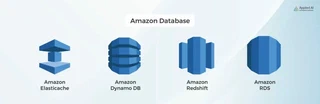 Amazon-DataBase