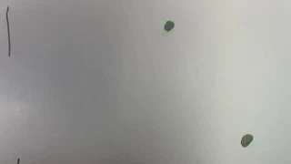Material defect frame 29